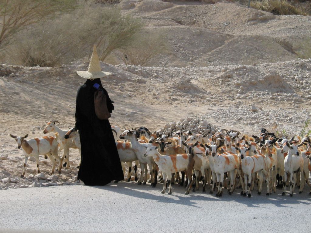 Women with goats