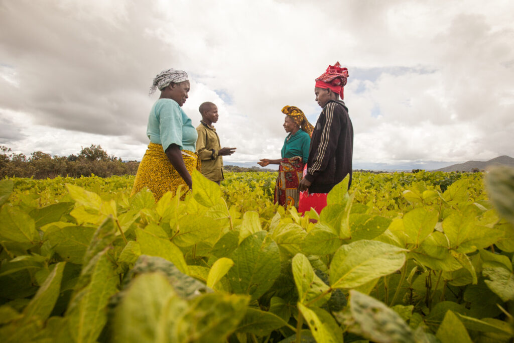 Group of women gather together in a field.