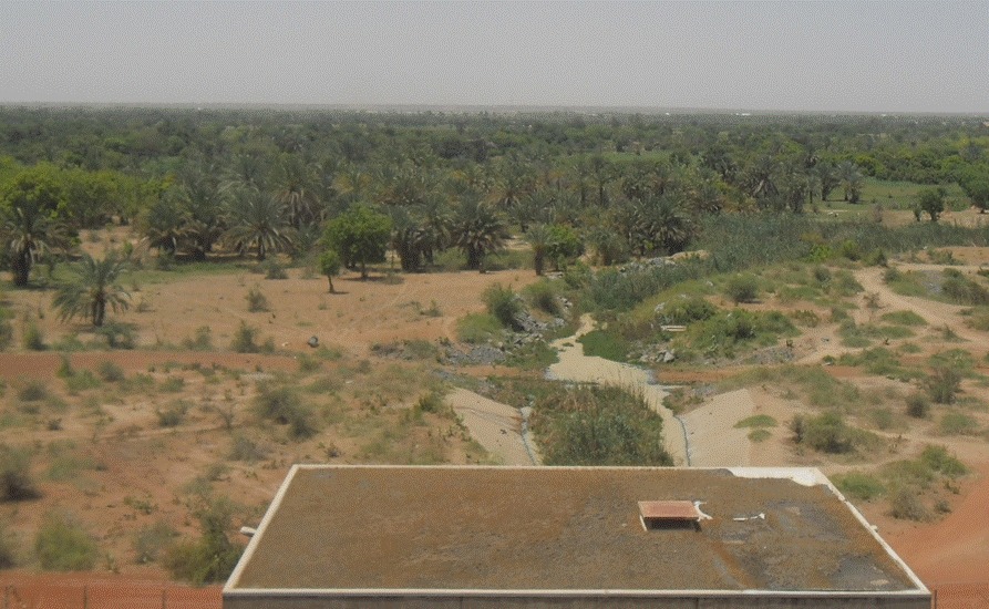 Figure 3: Downstream drainage from the Jibiya Dam in Nigeria to the River Goulbi Maradi in Niger (credit: I.B. Goni).  